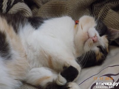 ���� 9: � ���� ����� ��� �����