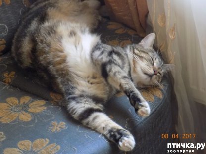 ���� 10: � ���� ����� ��� �����