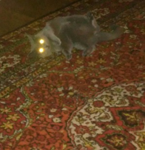 ����: � � �� �������.