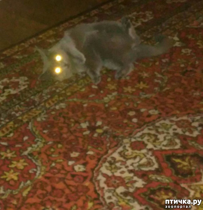 ���� 1: � � �� �������.