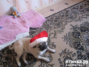 ����: ����� ���� ����� ��� �������???