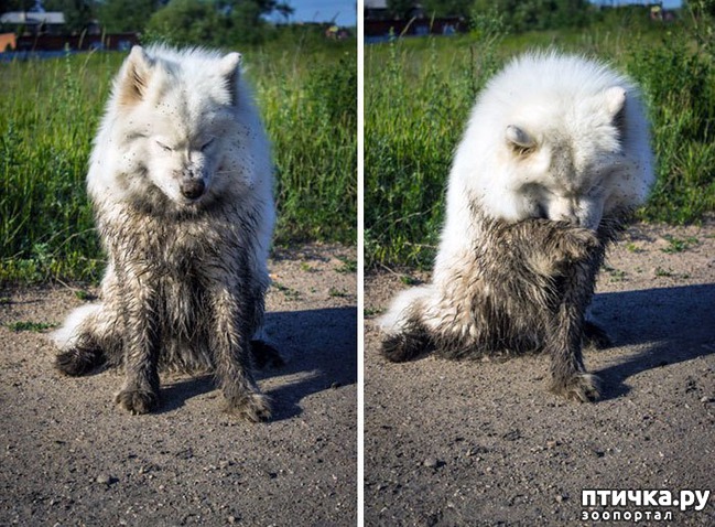 ���� 24: 30 �����, ��� ������� ������ ��������, ��� ���������� �������