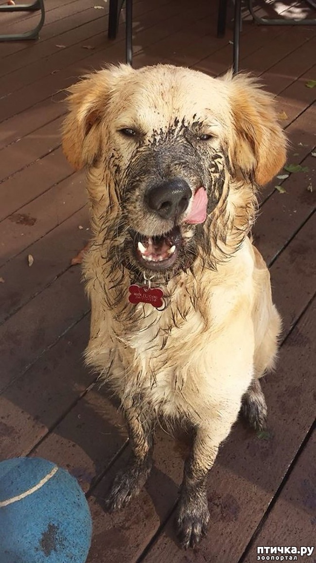 ���� 26: 30 �����, ��� ������� ������ ��������, ��� ���������� �������