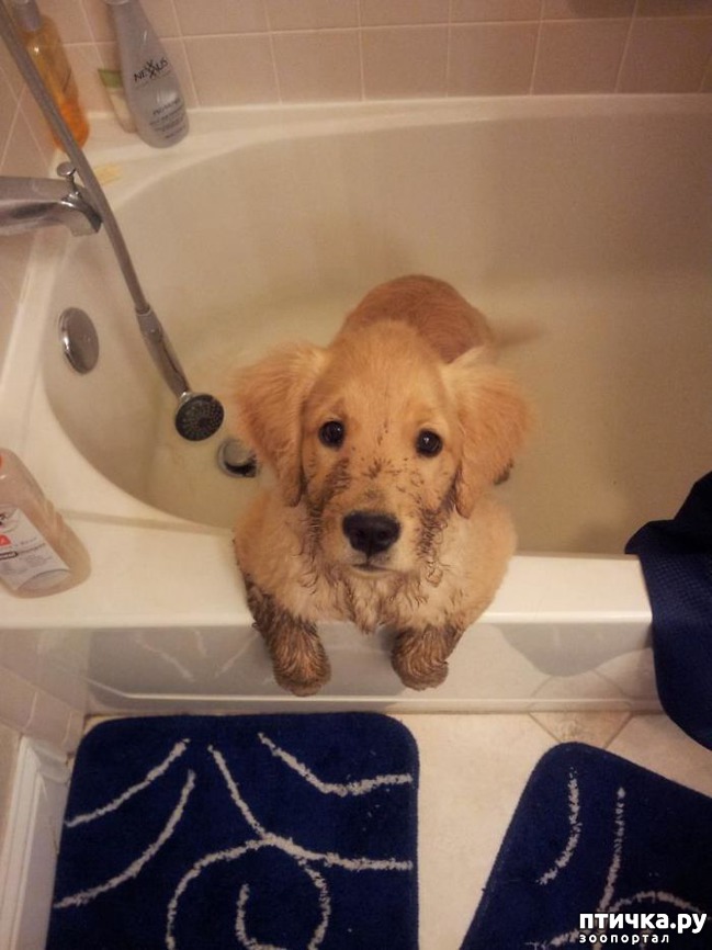 ���� 29: 30 �����, ��� ������� ������ ��������, ��� ���������� �������