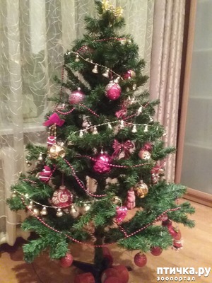 ����: ���������� ����������