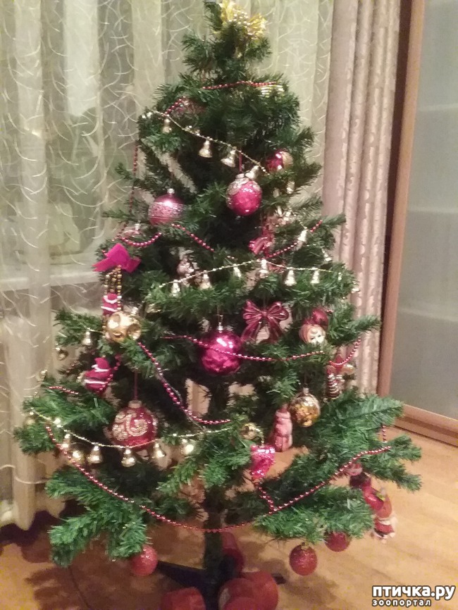 ���� 1: ���������� ����������