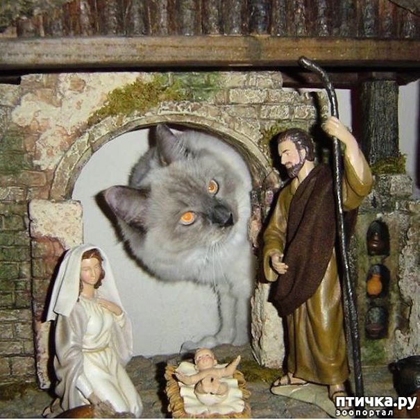 ���� 1: ���������! � ��� �� ��� ��� ����?))