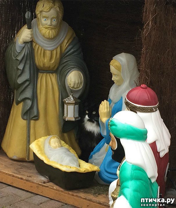 ���� 2: ���������! � ��� �� ��� ��� ����?))