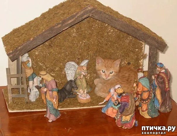 ���� 4: ���������! � ��� �� ��� ��� ����?))