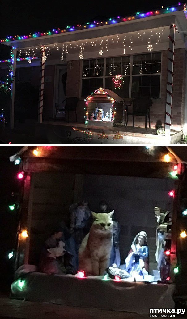 ���� 6: ���������! � ��� �� ��� ��� ����?))