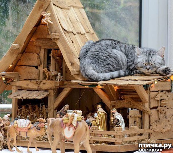 ���� 8: ���������! � ��� �� ��� ��� ����?))