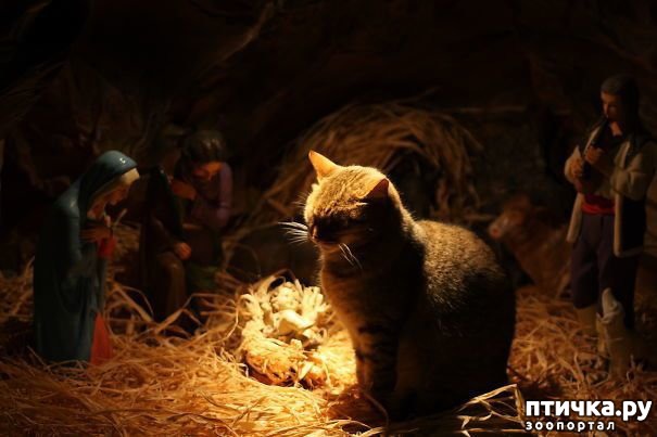 ���� 11: ���������! � ��� �� ��� ��� ����?))