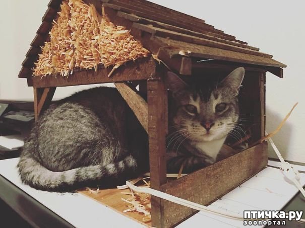 ���� 12: ���������! � ��� �� ��� ��� ����?))