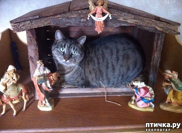 ���� 13: ���������! � ��� �� ��� ��� ����?))