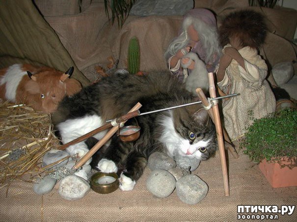 ���� 14: ���������! � ��� �� ��� ��� ����?))