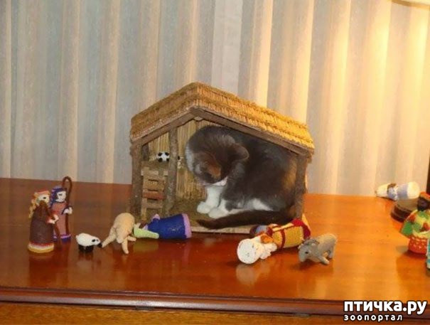 ���� 15: ���������! � ��� �� ��� ��� ����?))