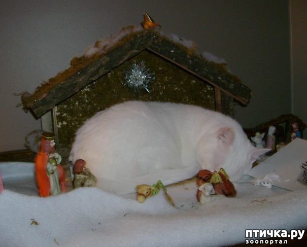 ���� 16: ���������! � ��� �� ��� ��� ����?))