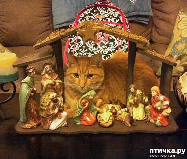 ���� 17: ���������! � ��� �� ��� ��� ����?))