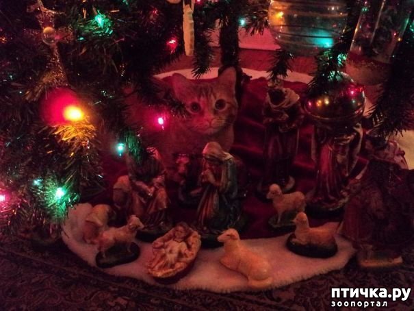 ���� 18: ���������! � ��� �� ��� ��� ����?))