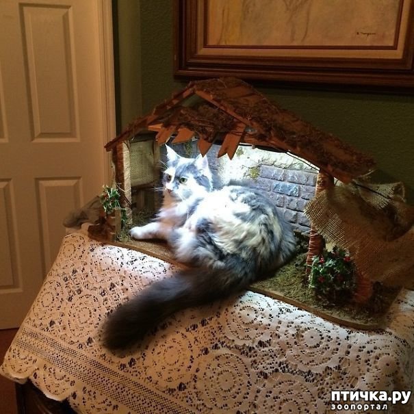 ���� 19: ���������! � ��� �� ��� ��� ����?))