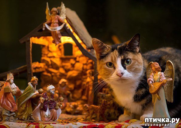 ���� 20: ���������! � ��� �� ��� ��� ����?))