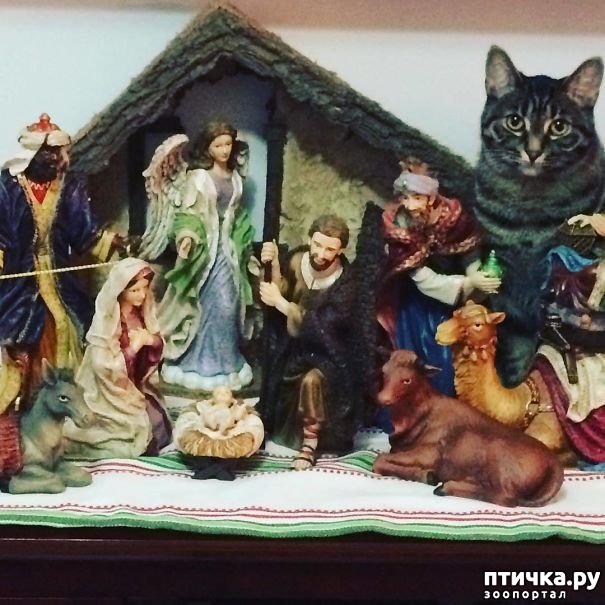 ���� 21: ���������! � ��� �� ��� ��� ����?))