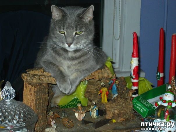 ���� 22: ���������! � ��� �� ��� ��� ����?))