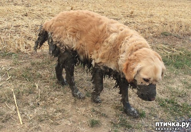 ���� 3: 30 �����, ��� ������� ������ ��������, ��� ���������� �������