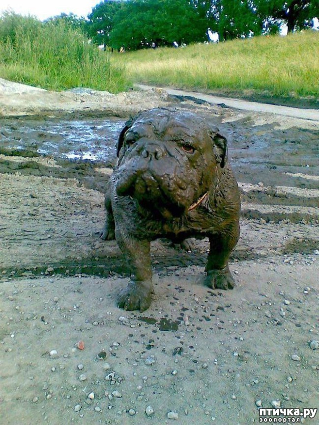 ���� 4: 30 �����, ��� ������� ������ ��������, ��� ���������� �������