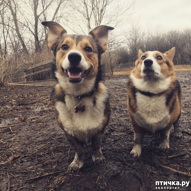 ���� 5: 30 �����, ��� ������� ������ ��������, ��� ���������� �������