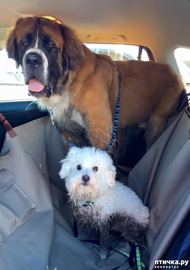 ���� 8: 30 �����, ��� ������� ������ ��������, ��� ���������� �������