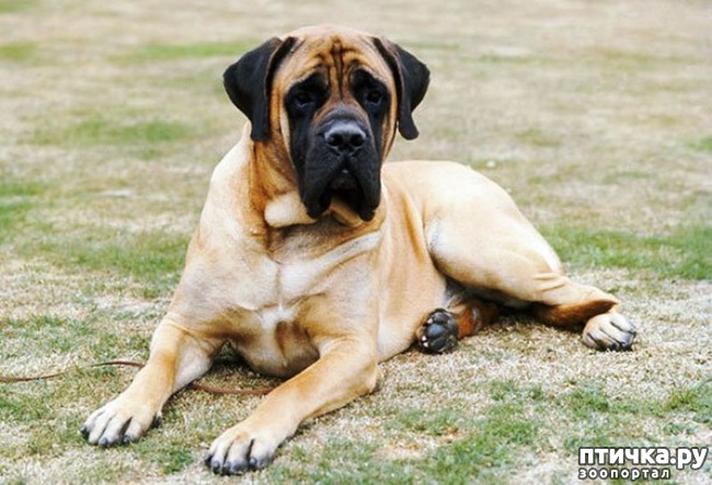 ���� 2: ����� ������� ������ ����� � ����