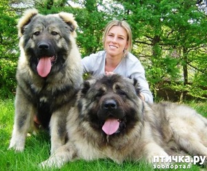 ����: ����� ������� ������ ����� � ����