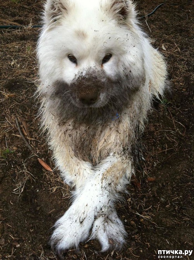 ���� 9: 30 �����, ��� ������� ������ ��������, ��� ���������� �������