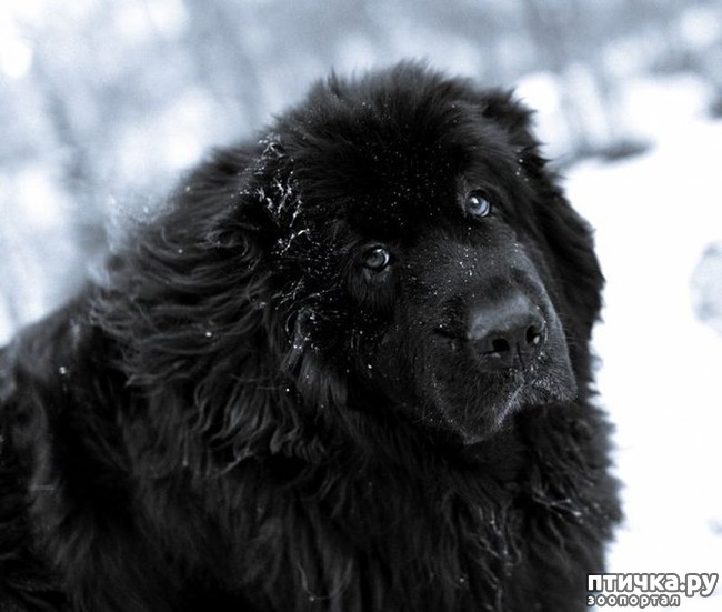 ���� 3: ����� ������� ������ ����� � ����