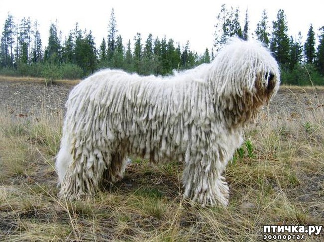 ���� 4: ����� ������� ������ ����� � ����