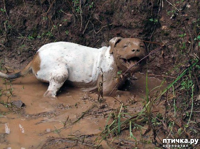 ���� 11: 30 �����, ��� ������� ������ ��������, ��� ���������� �������