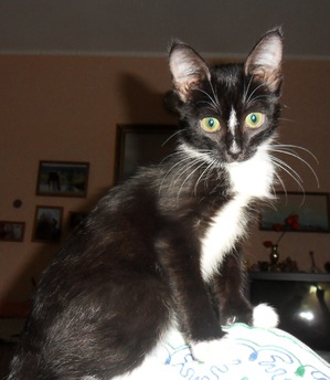 ����: ����� �������� �� ������ ���� ��������.