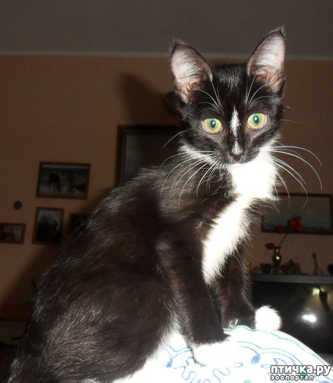 ���� 1: ����� �������� �� ������ ���� ��������.