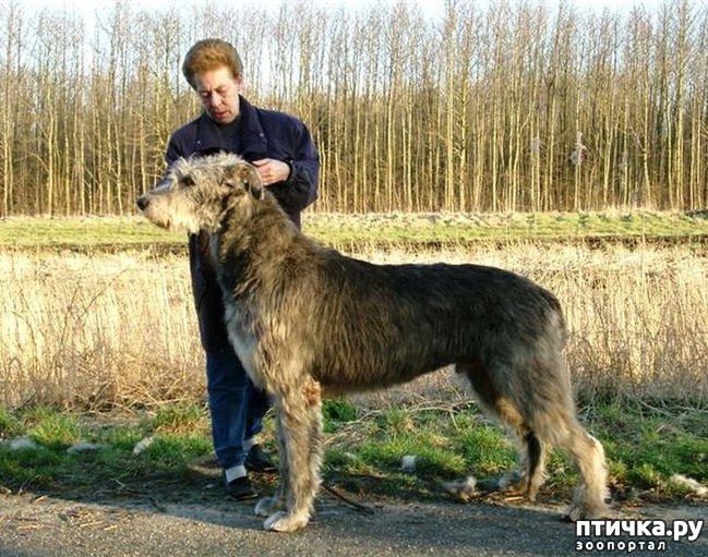 ���� 5: ����� ������� ������ ����� � ����