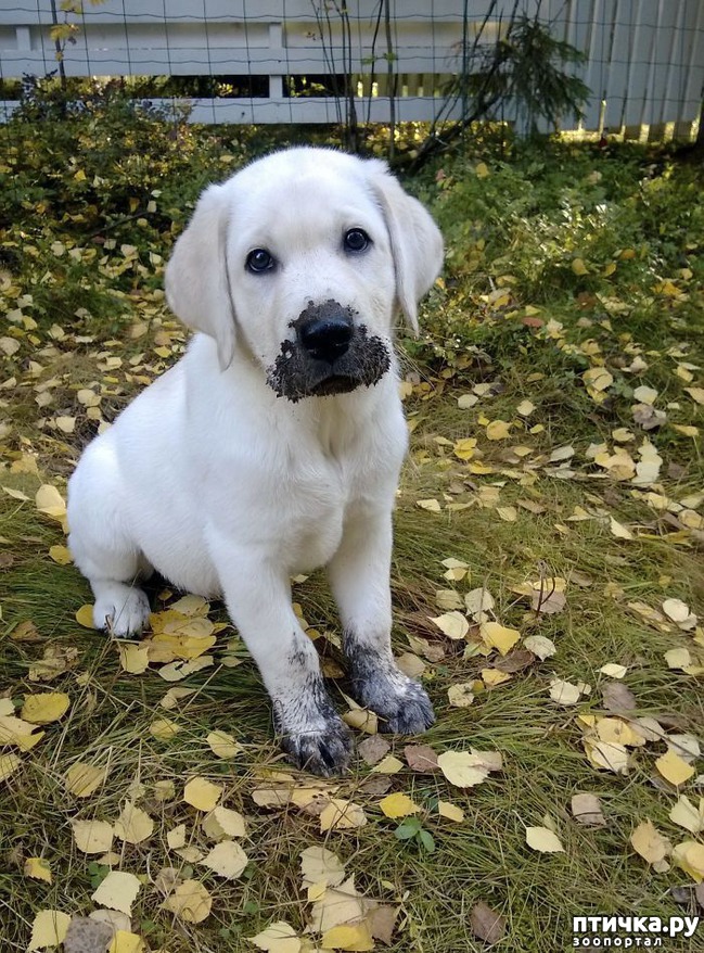 ���� 12: 30 �����, ��� ������� ������ ��������, ��� ���������� �������