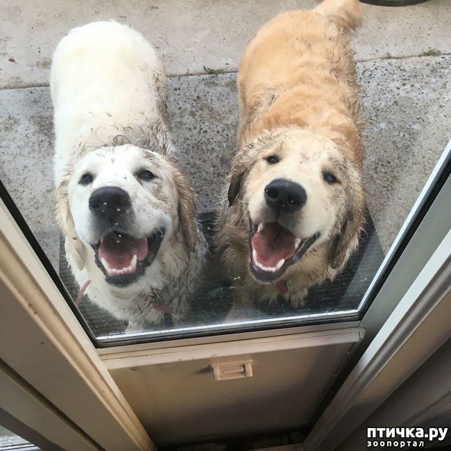 ���� 13: 30 �����, ��� ������� ������ ��������, ��� ���������� �������