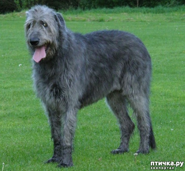 ���� 8: ����� ������� ������ ����� � ����