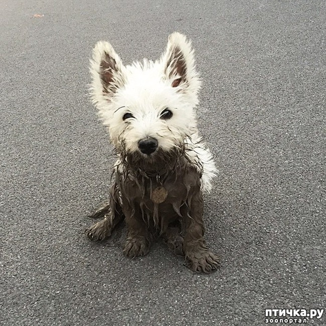 ���� 16: 30 �����, ��� ������� ������ ��������, ��� ���������� �������