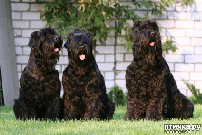 ���� 9: ����� ������� ������ ����� � ����