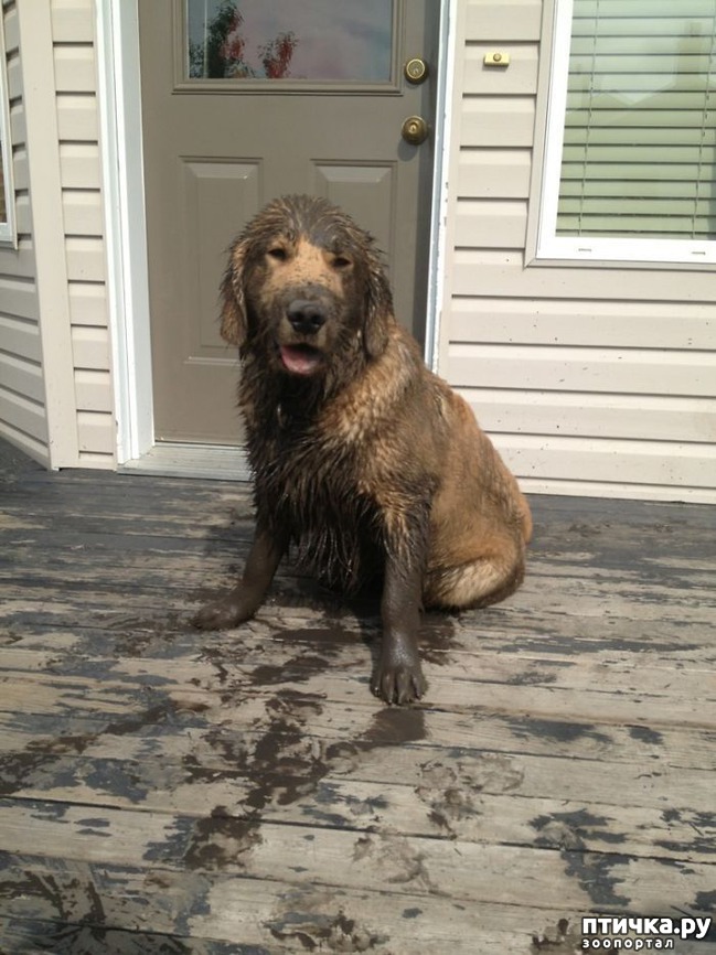 ���� 22: 30 �����, ��� ������� ������ ��������, ��� ���������� �������