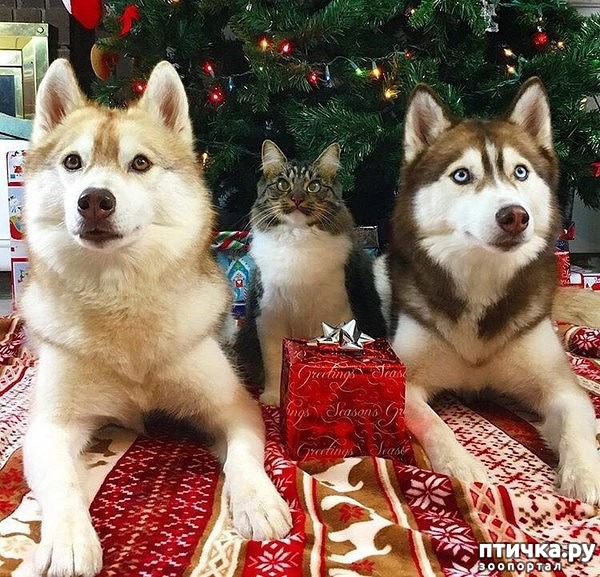 ���� 1: ������ �������