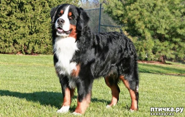 ���� 13: ����� ������� ������ ����� � ����