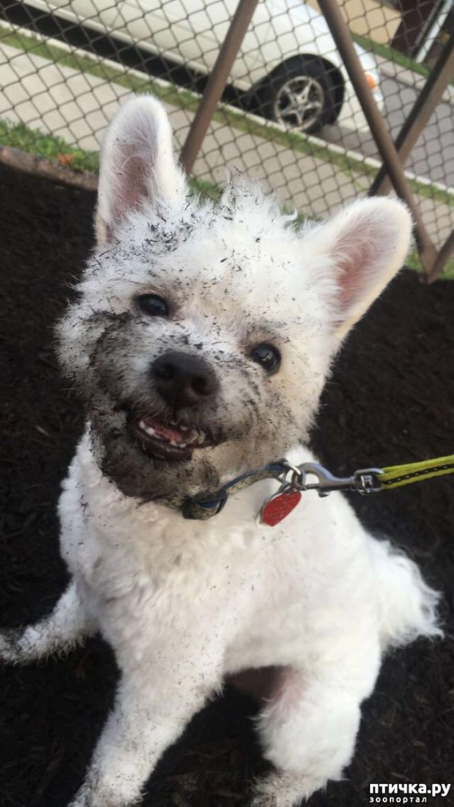 ���� 23: 30 �����, ��� ������� ������ ��������, ��� ���������� �������