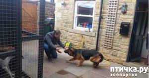 ����: ������������ �������������. ������ ������ �� ������� ��� ���� ������ �������...